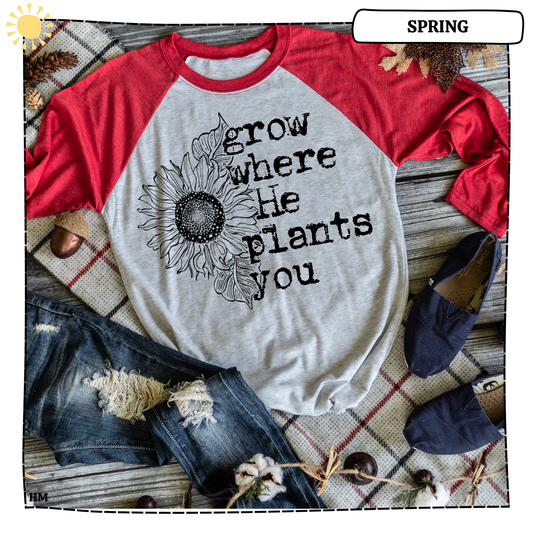 Grow Where He Plants You